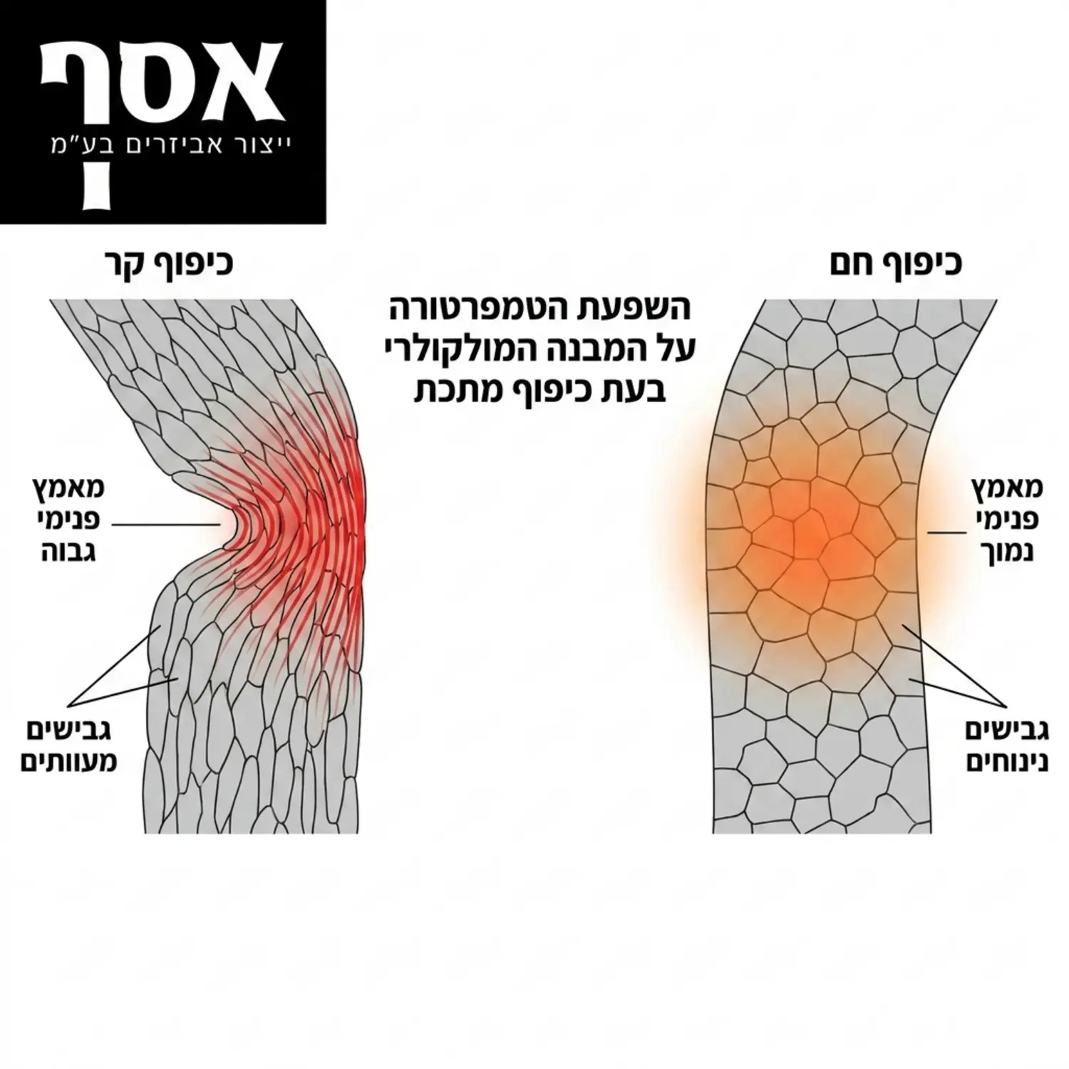אינפוגרפיקה המציגה את ההבדל במבנה המולקולרי של מתכת בזמן כיפוף קר לעומת כיפוף חם, תוך הדגשת קווי המאמץ והחלוקה הפנימית של הלחצים בחומר