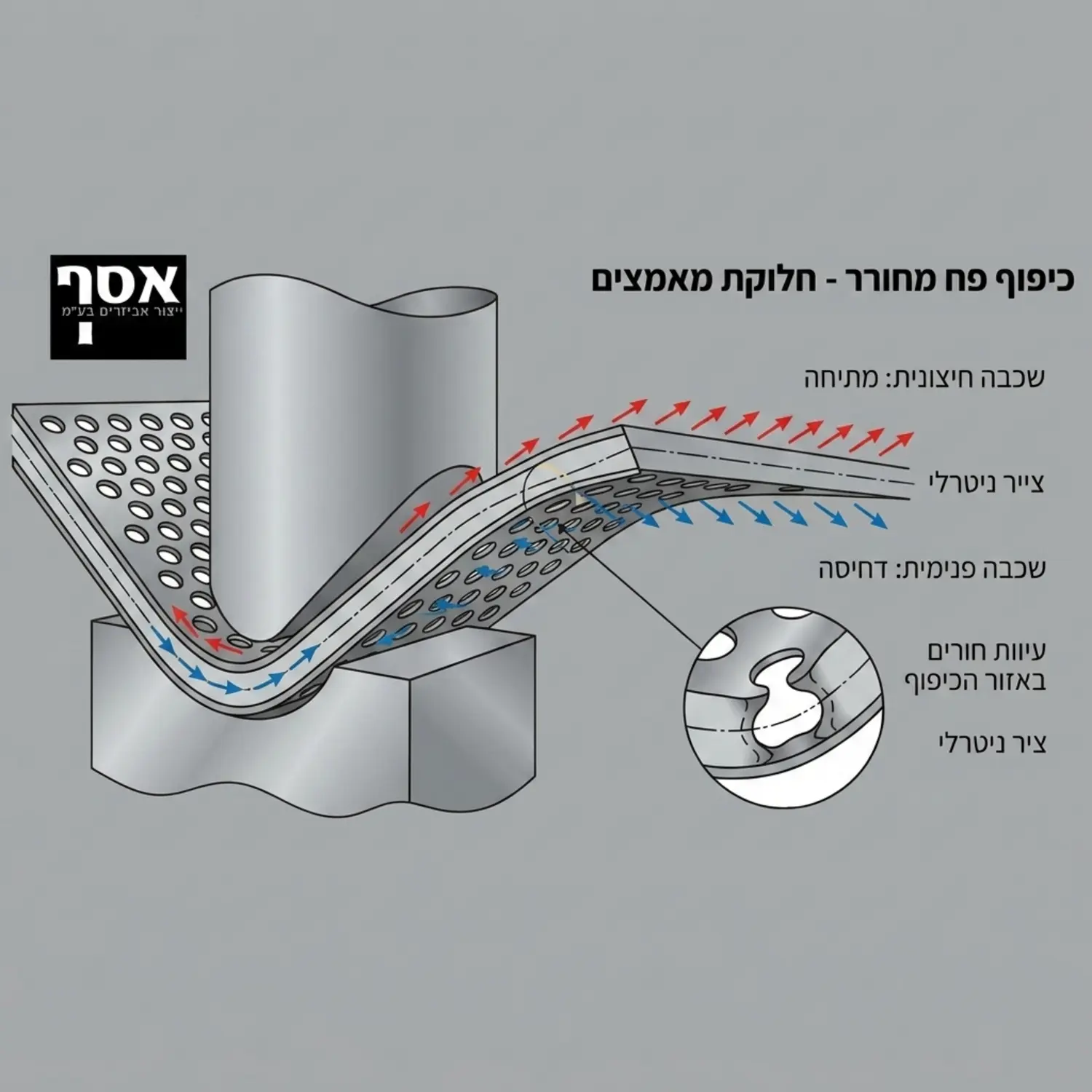 אינפוגרפיקה מקצועית המציגה חתך צד של פח מחורר בתהליך כיפוף. האינפוגרפיקה מראה בעזרת חצים אדומים את וקטורי המתיחה על השכבה החיצונית ואת וקטורי הדחיסה הכחולים בשכבה הפנימית תוך הדגשה של אזור החורים המעוות