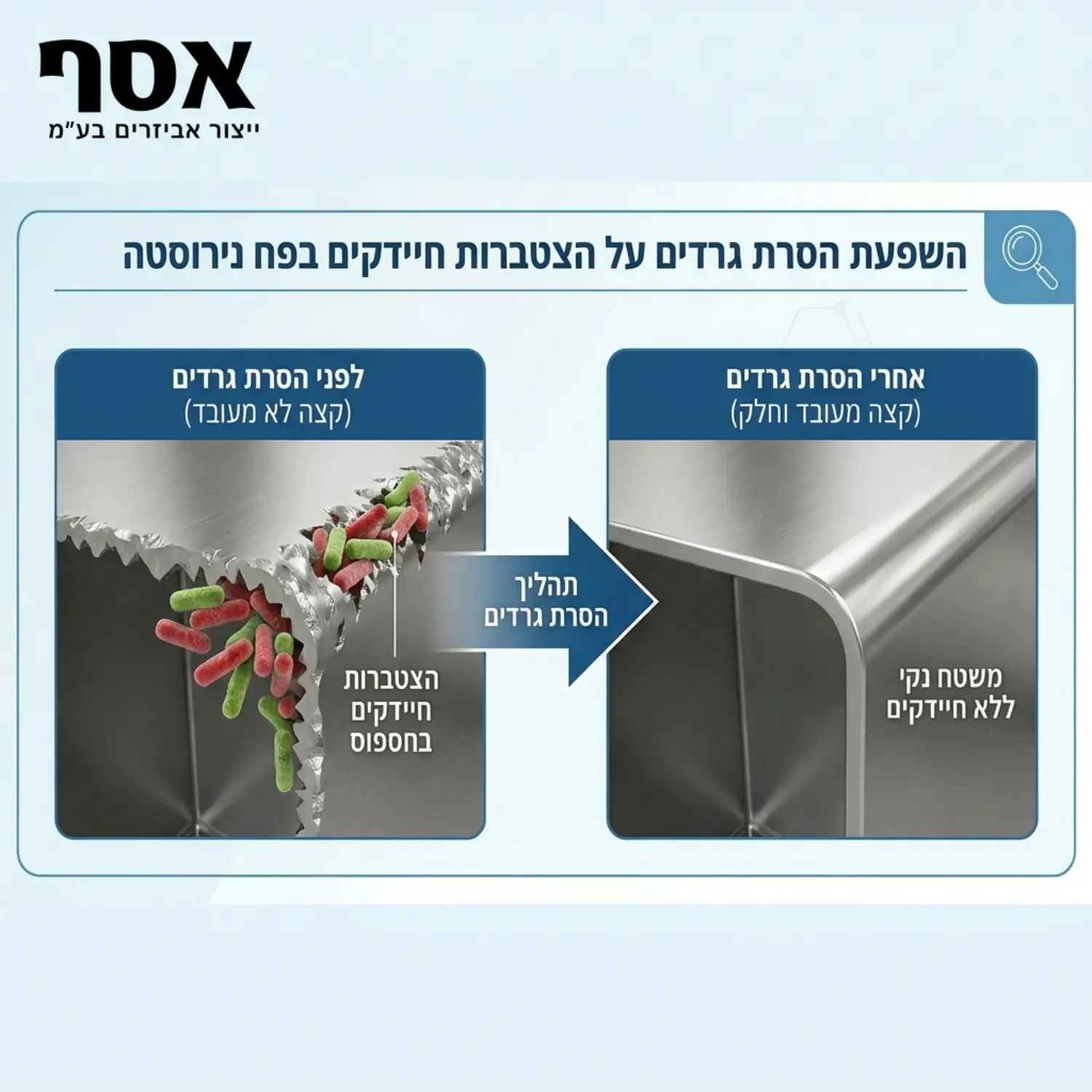 אינפוגרפיקה המדגימה חתך מיקרוסקופי של פח נירוסטה לפני ואחרי הסרת גרדים, ומראה כיצד חיידקים מצטברים בחספוס של קצה לא מעובד